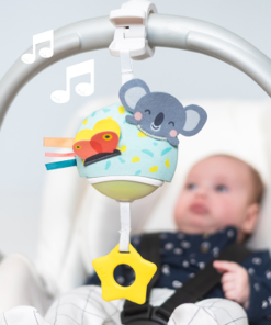 Alternative view of Taf Toys Hudobná Koala 12575TAF